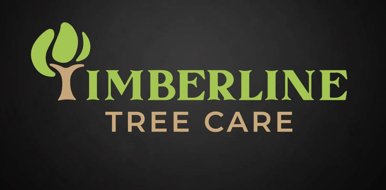 The logo for Daniel Ramirez of Timberline Tree Care Marin shows a tree with roots.