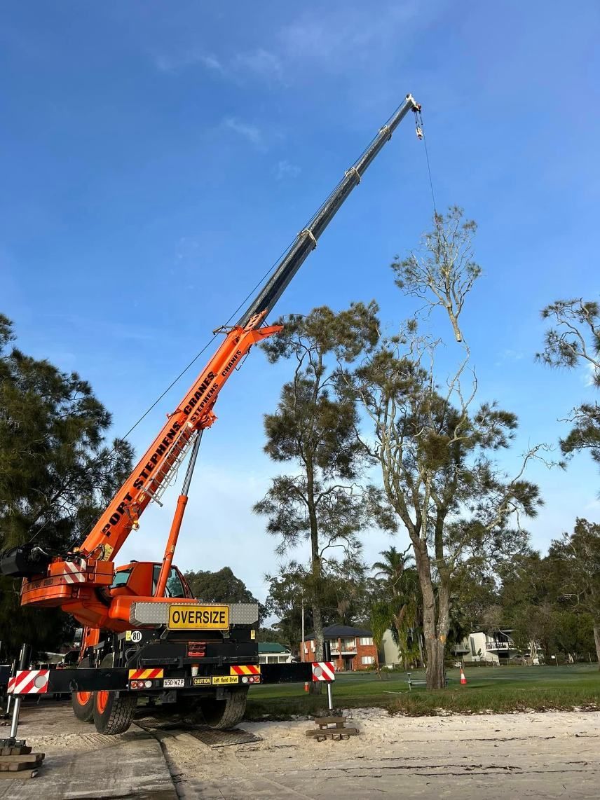 A Large Orange Crane Is Lifting A Tree In A Park — Port Stephens Cranes In Salt Ash, NSW