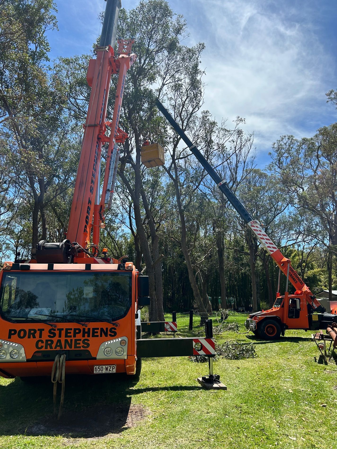 Image of two Cranes from Port Stephens Cranes 