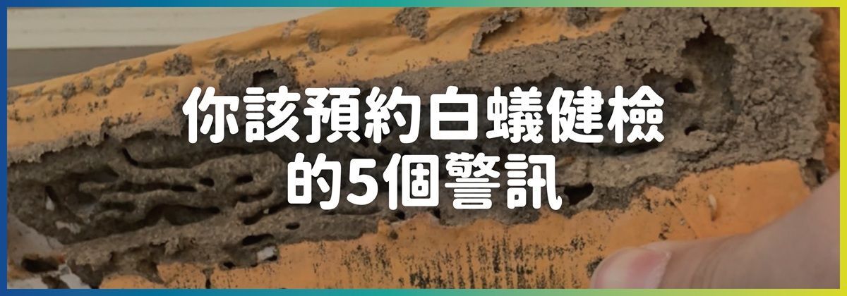 白蟻警訊圖