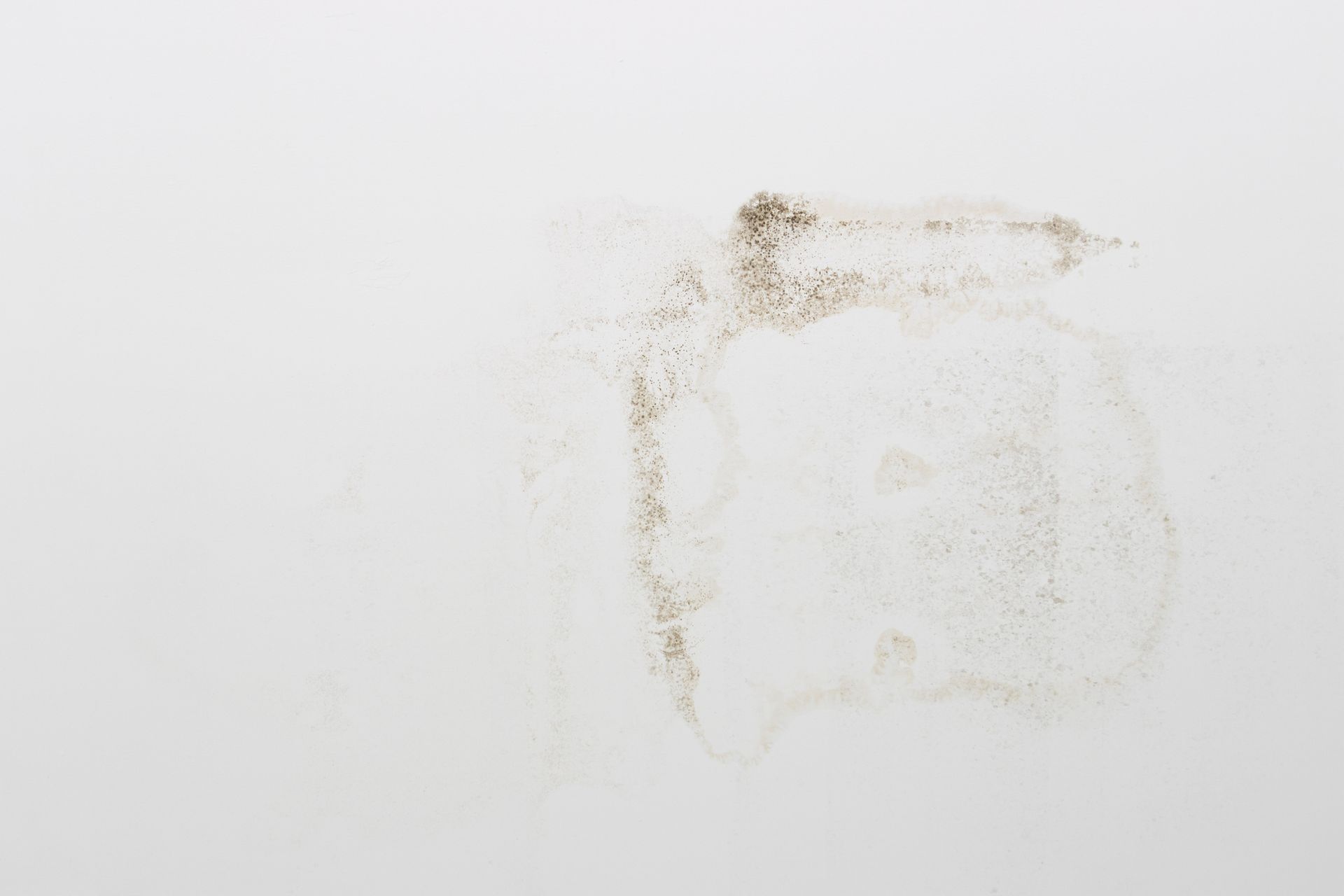 Mold stain on a white wall, appearing as a dark brown and gray irregular shape.