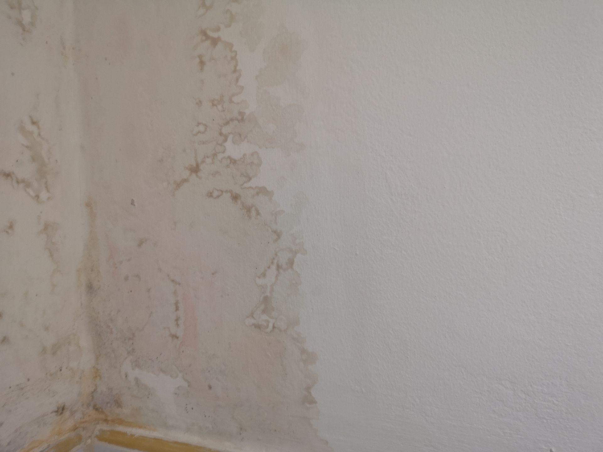 Water-damaged interior wall corner showing peeling paint and discoloration.