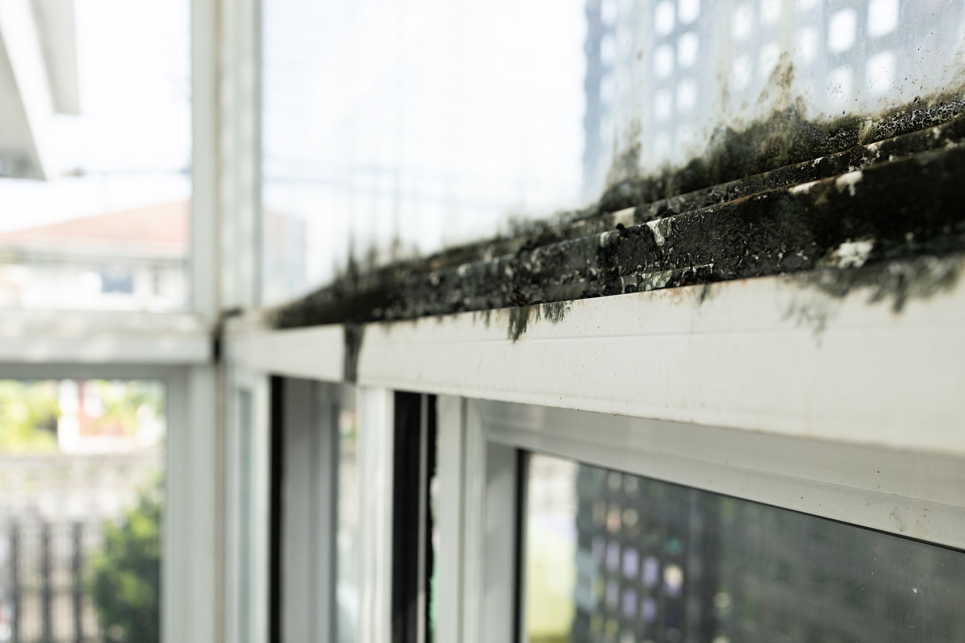 Mold growth on the top frame of a white window; close-up view.