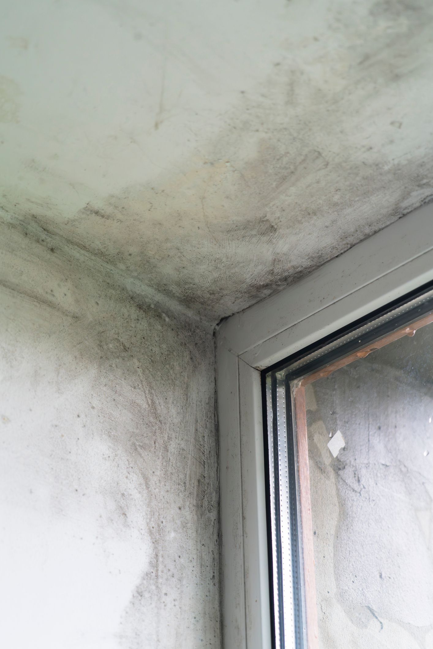 Mold growth on ceiling and wall near window frame; shades of gray and black.