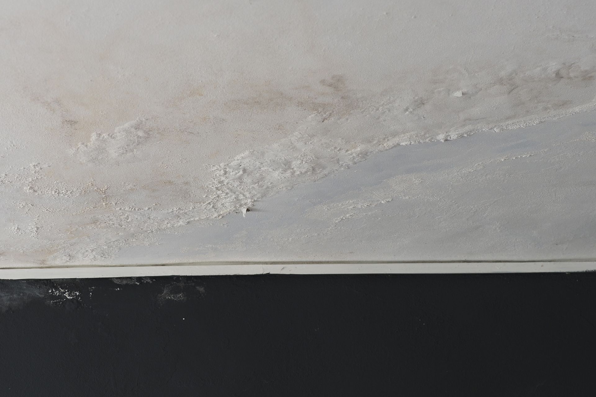 Water-damaged ceiling with peeling paint, discoloration, and mold. Below is a dark, painted wall.