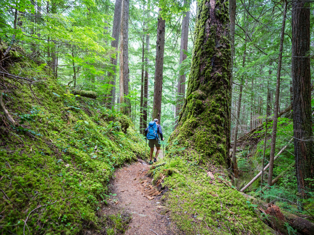 A person wearing blue running shoes is walking on a dirt road.