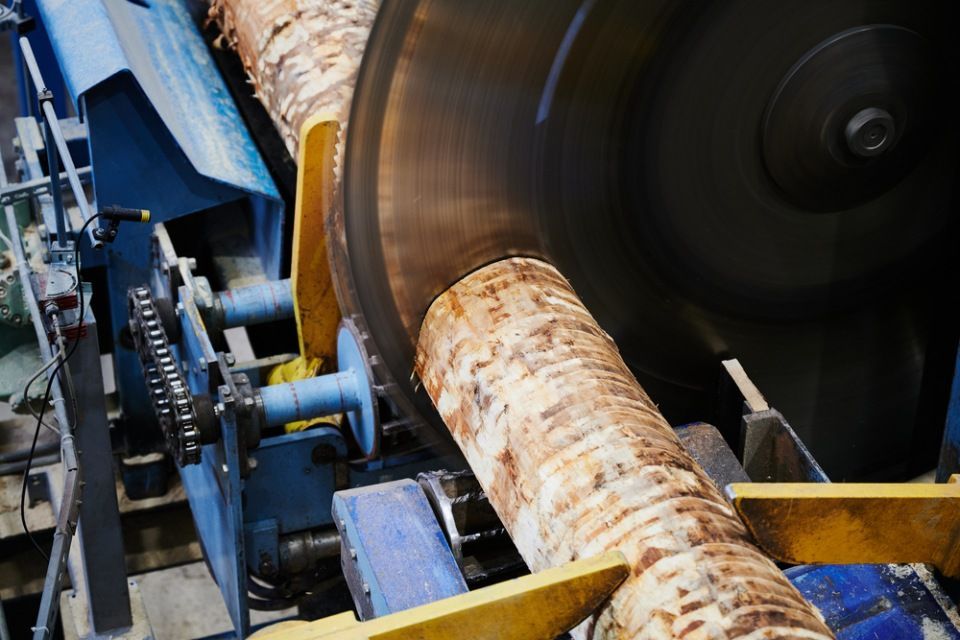 Timber Solutions
