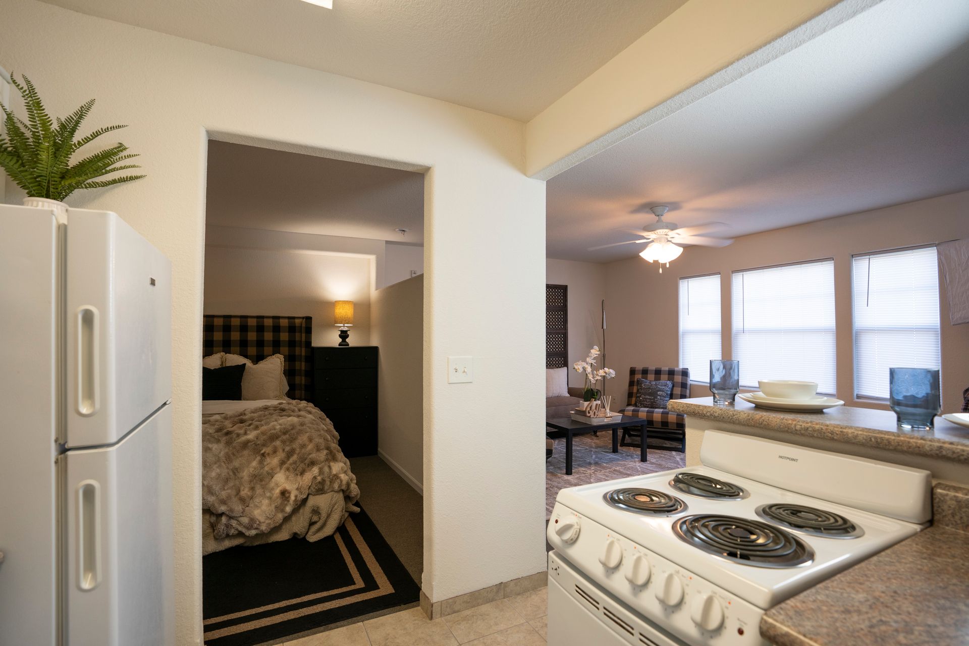 picture of kitchen and livingroom