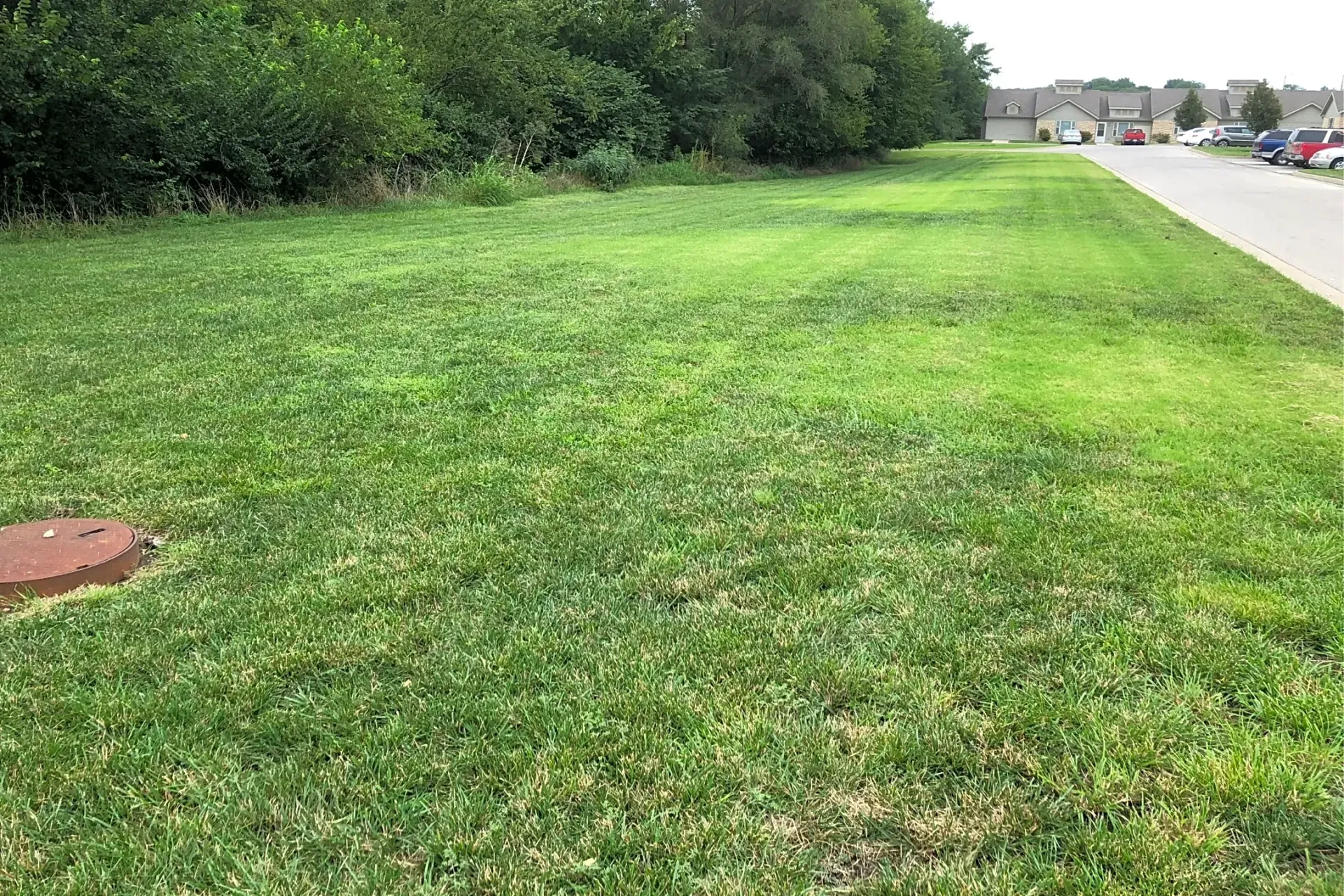 a lush green field of grass next to a road .