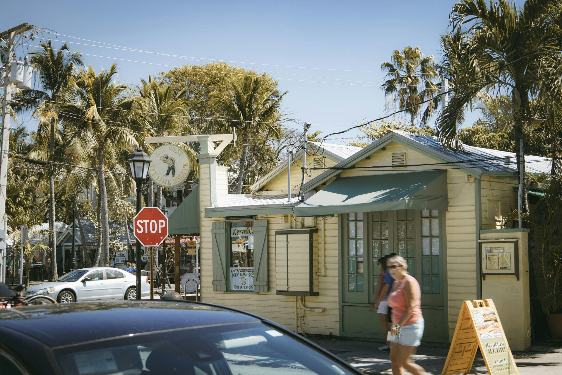palm trees and a house on a city street
