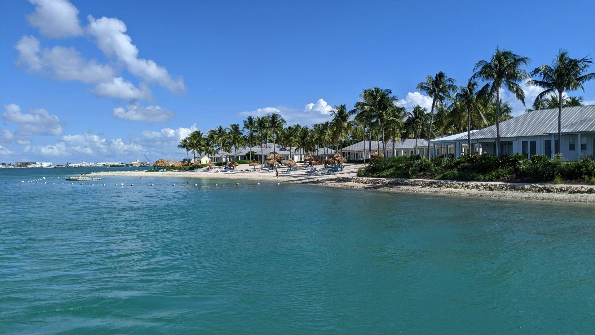beach lined with houses and palm trees on the shore