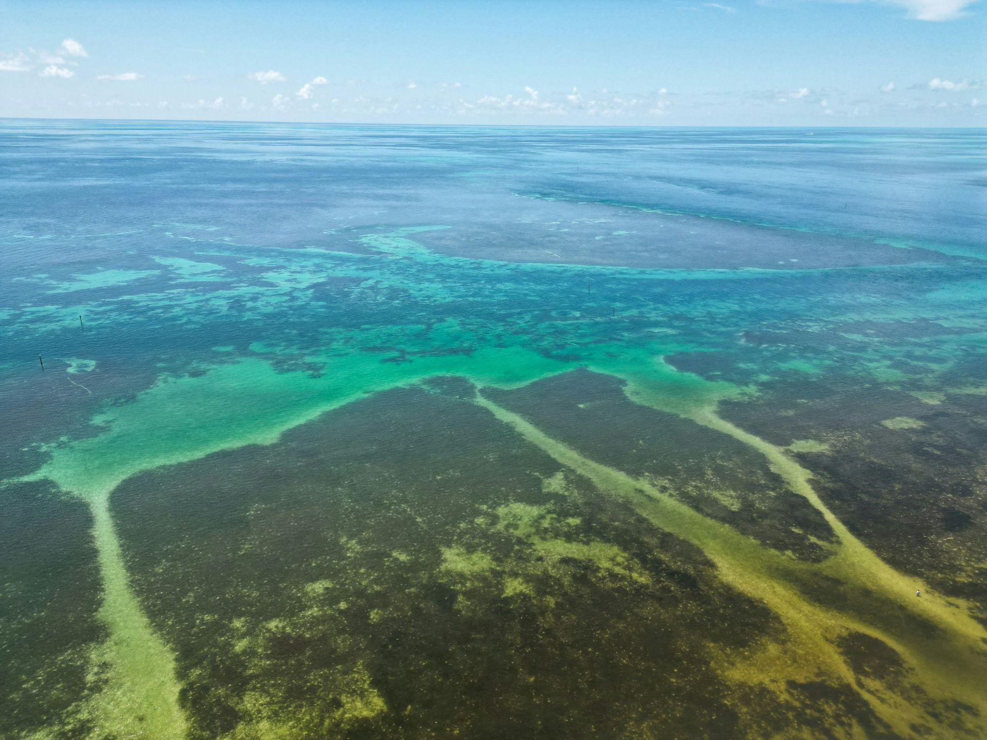 Aerial view of a coral reef