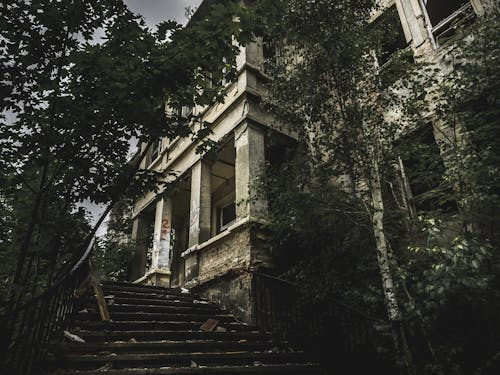 A picture shows a deserted building surrounded by nature. 