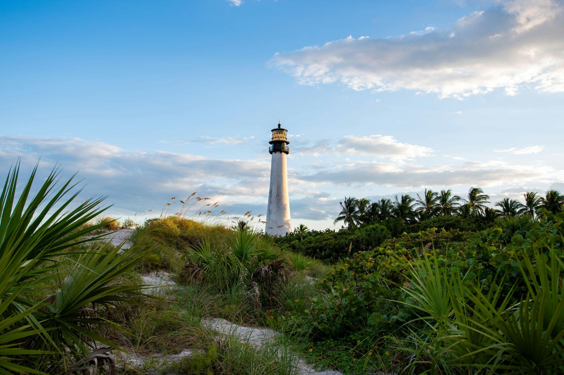 a lighthouse present between tall green bushes and trees