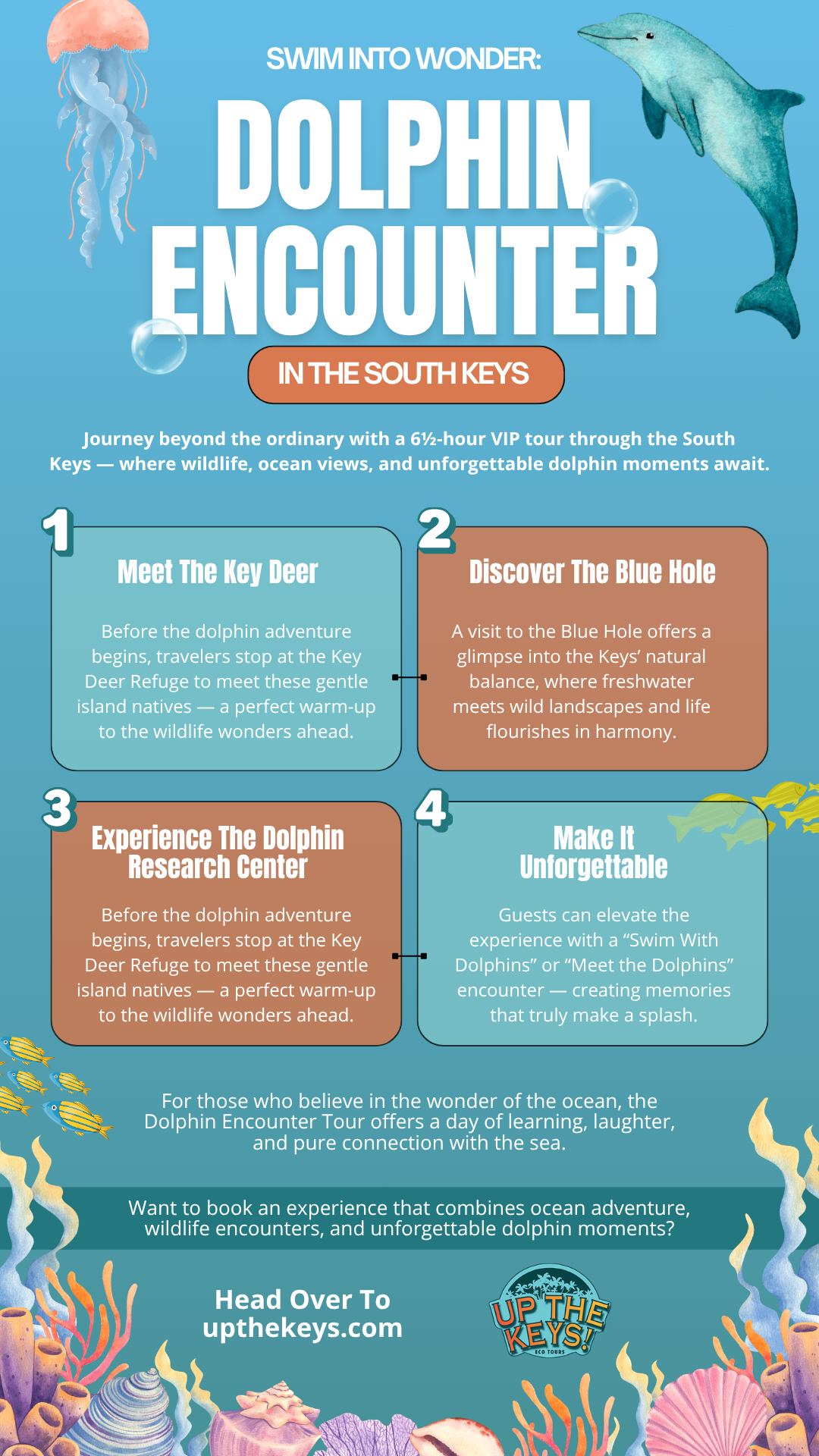 Dolphin Encounter in the South Keys tour infographic by Up The Keys Tours.