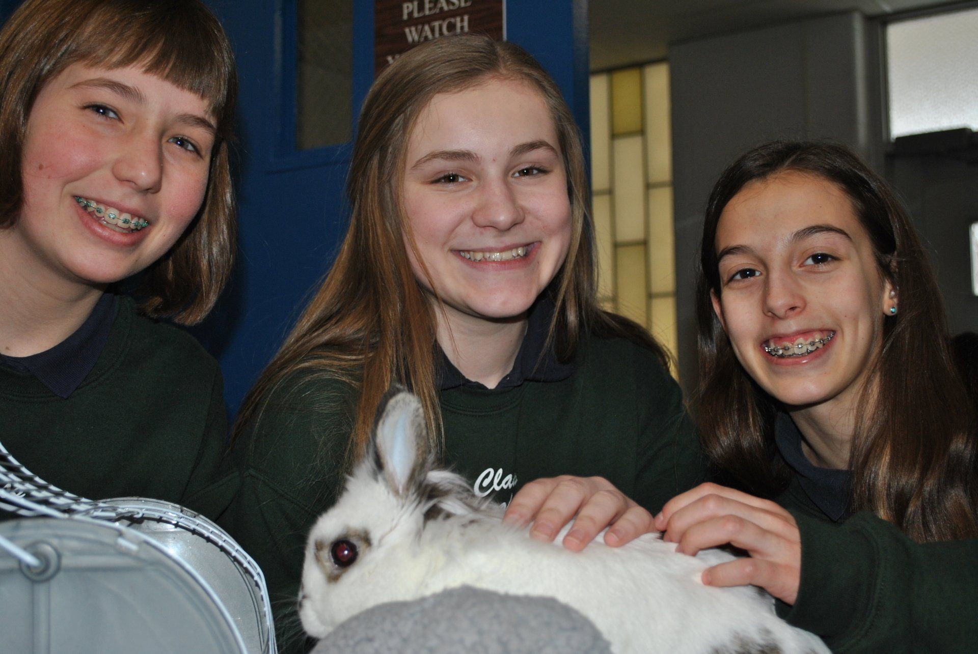 chicago kid party dj girls with white dwarf rabbit
