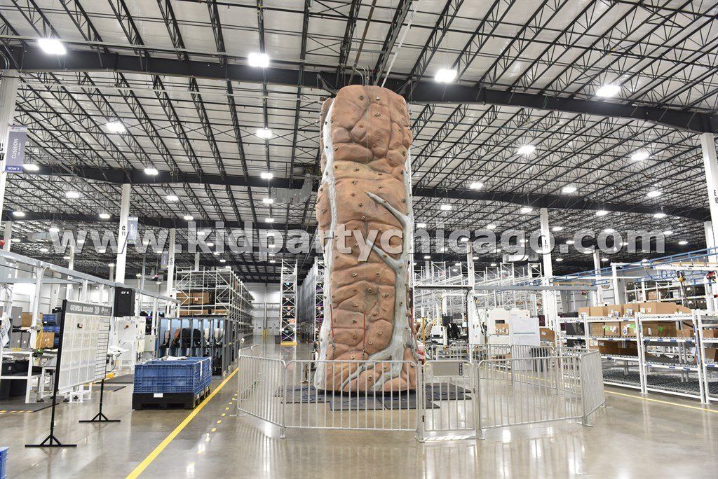 kid party chicago rock wall rental