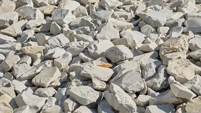 A close-up view of a collection of white, irregularly shaped stones or limestone pieces scattered on the ground.