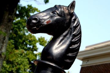 Horse Law Symbol — Nicholasville, KY — Bruce E. Smith Law Offices, PLLC
