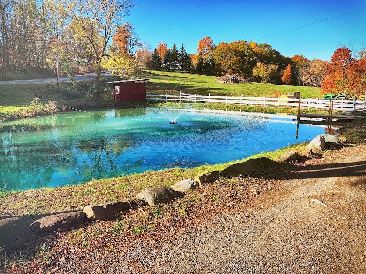 Pond with blue water, fountain, small red shed, and fall foliage.