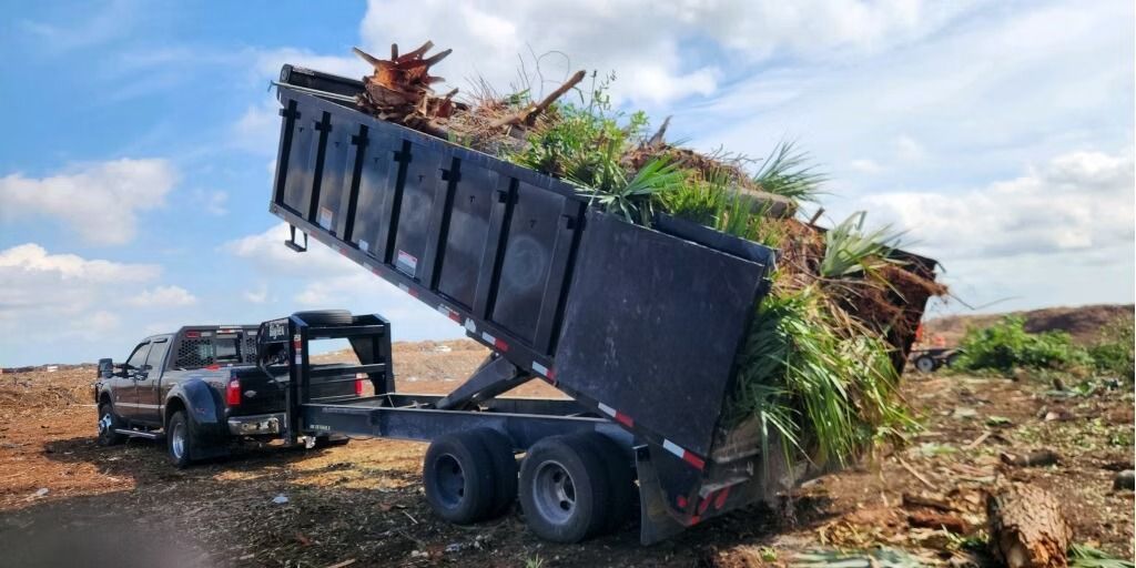 A black pickup truck is dumping a load of green vegetation into a debris pile under a blue sky.