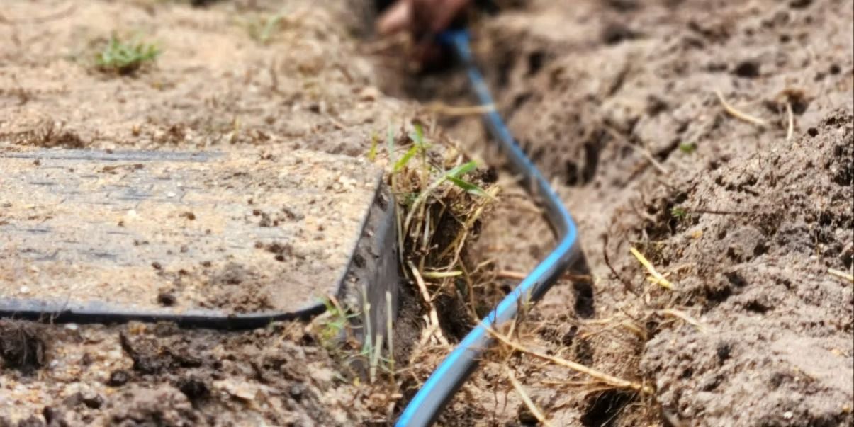 A person uses a trowel to place blue irrigation tubing in a furrow in the dirt.