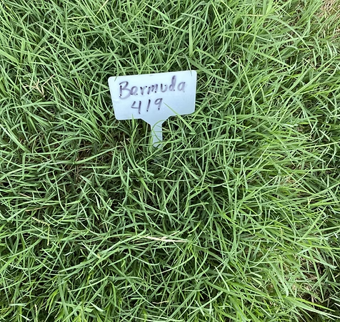 Green Bermuda grass with a sign that reads 