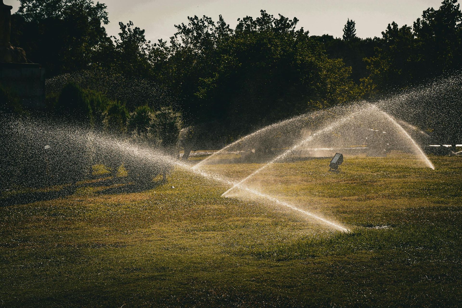 Sprinklers watering a grassy field at sunset, with water arcs against a dark tree line.