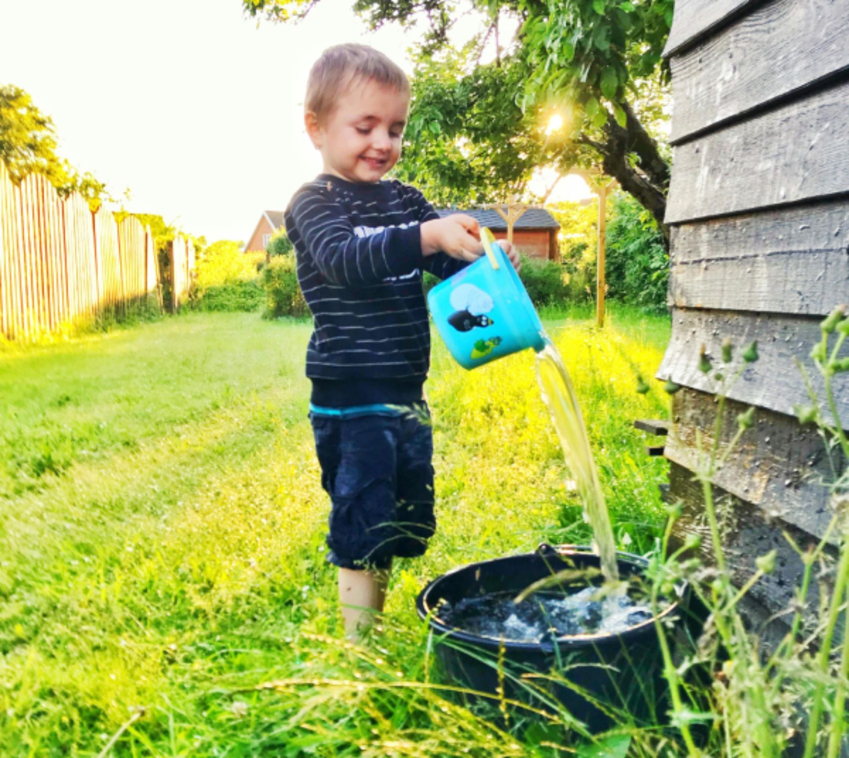 collecting water