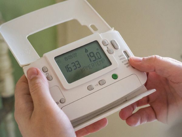 a person holding a temperature device
