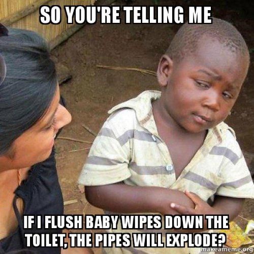 toilet flushing meme