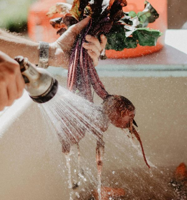 washing vegetables