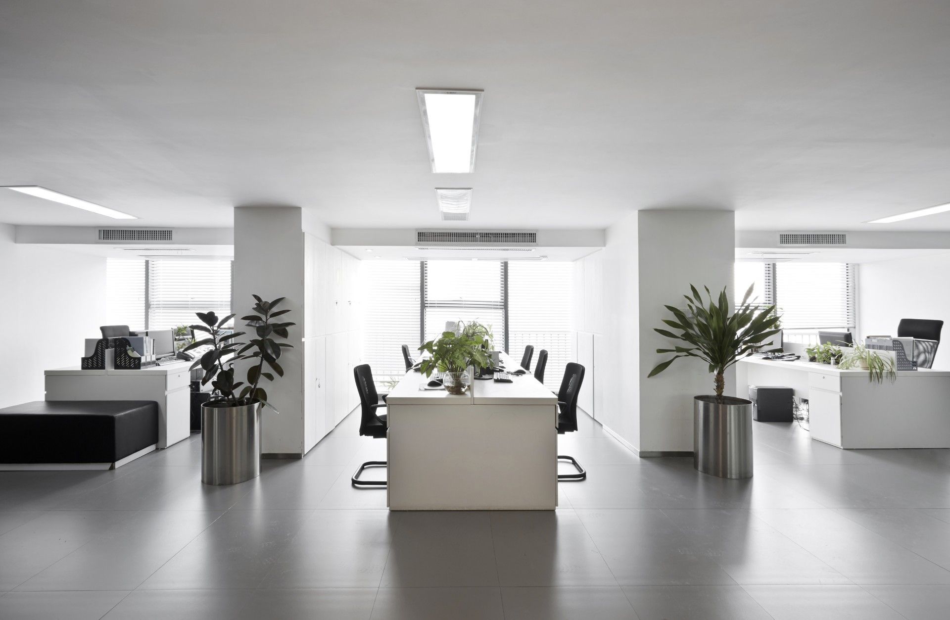 A large office with a table and chairs and plants.