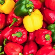Red, Yellow, and Green Peppers — Fairfield, NJ — L.F.I. Incorporated