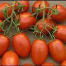 Fresh California Tomatoes — Fairfield, NJ — L.F.I. Incorporated