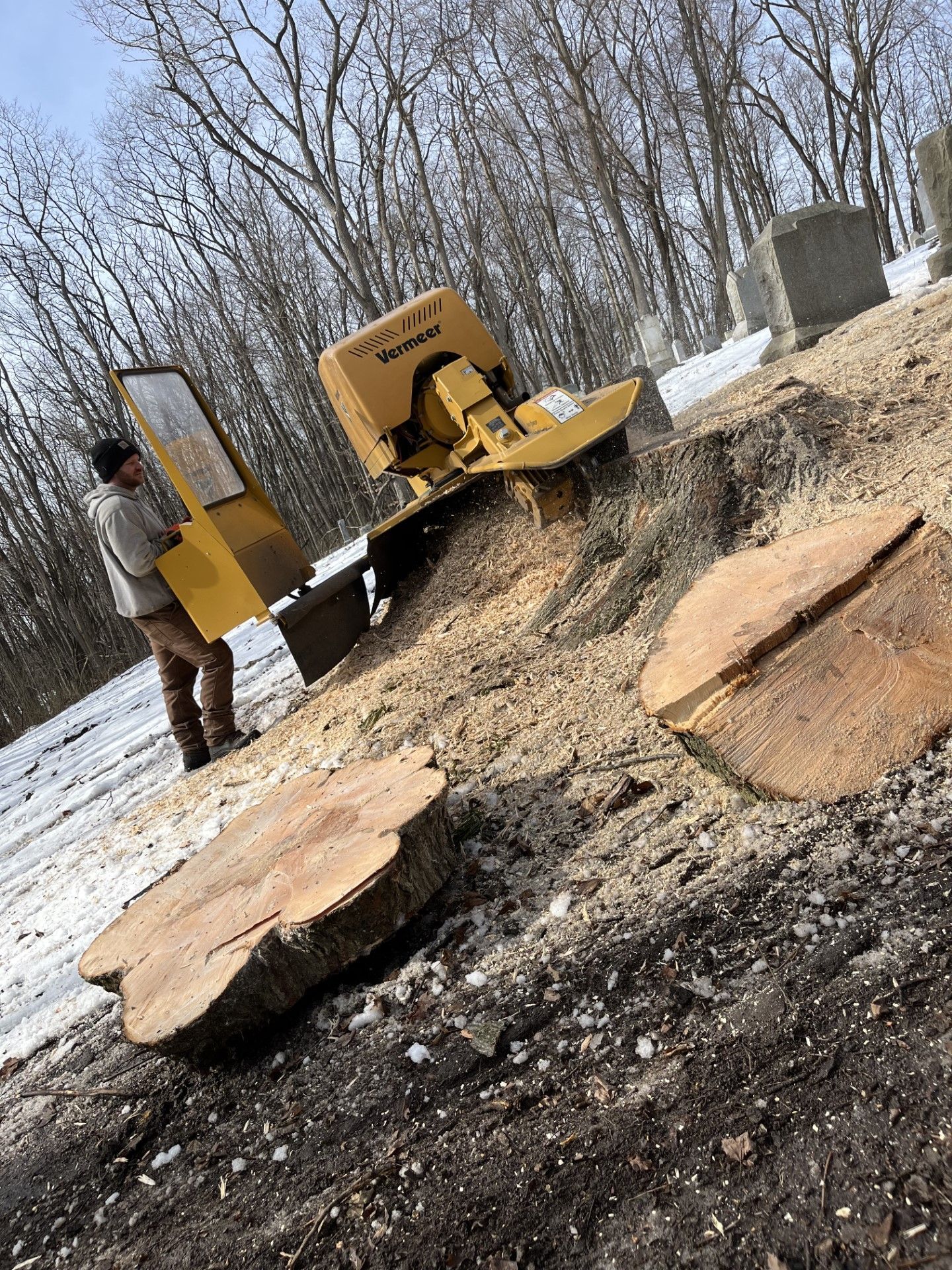 Removing a Tree Stump — Kendallville, IN — Landis Tree & Stump