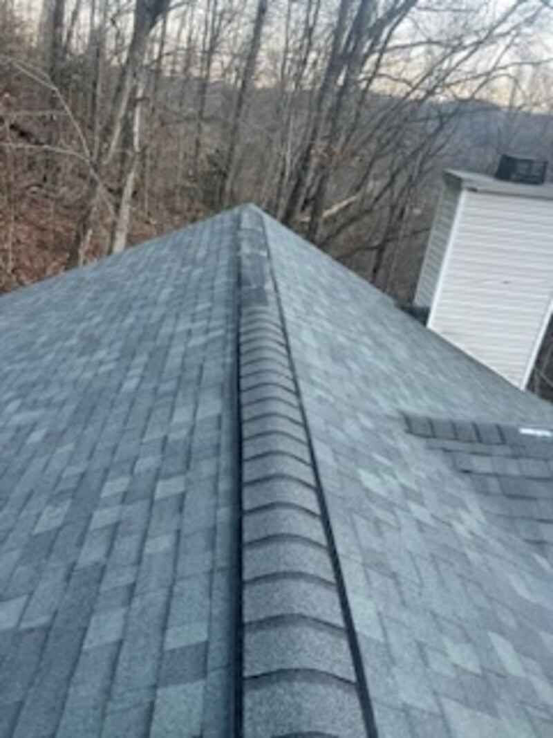 A close up of a roof with trees in the background.