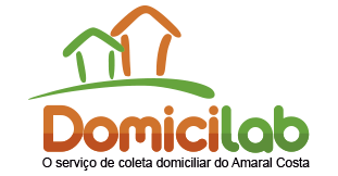 Um logotipo para uma empresa chamada domicilab