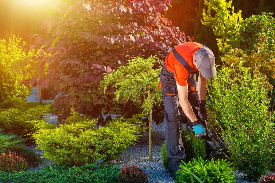 Landscaping Service | Pittsburgh, PA | Jomar Supply