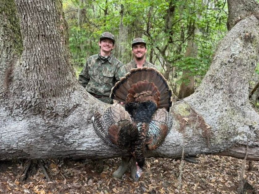 Two people pose with a wild turkey in a forest. The turkey's feathers are fanned. They wear camouflage.