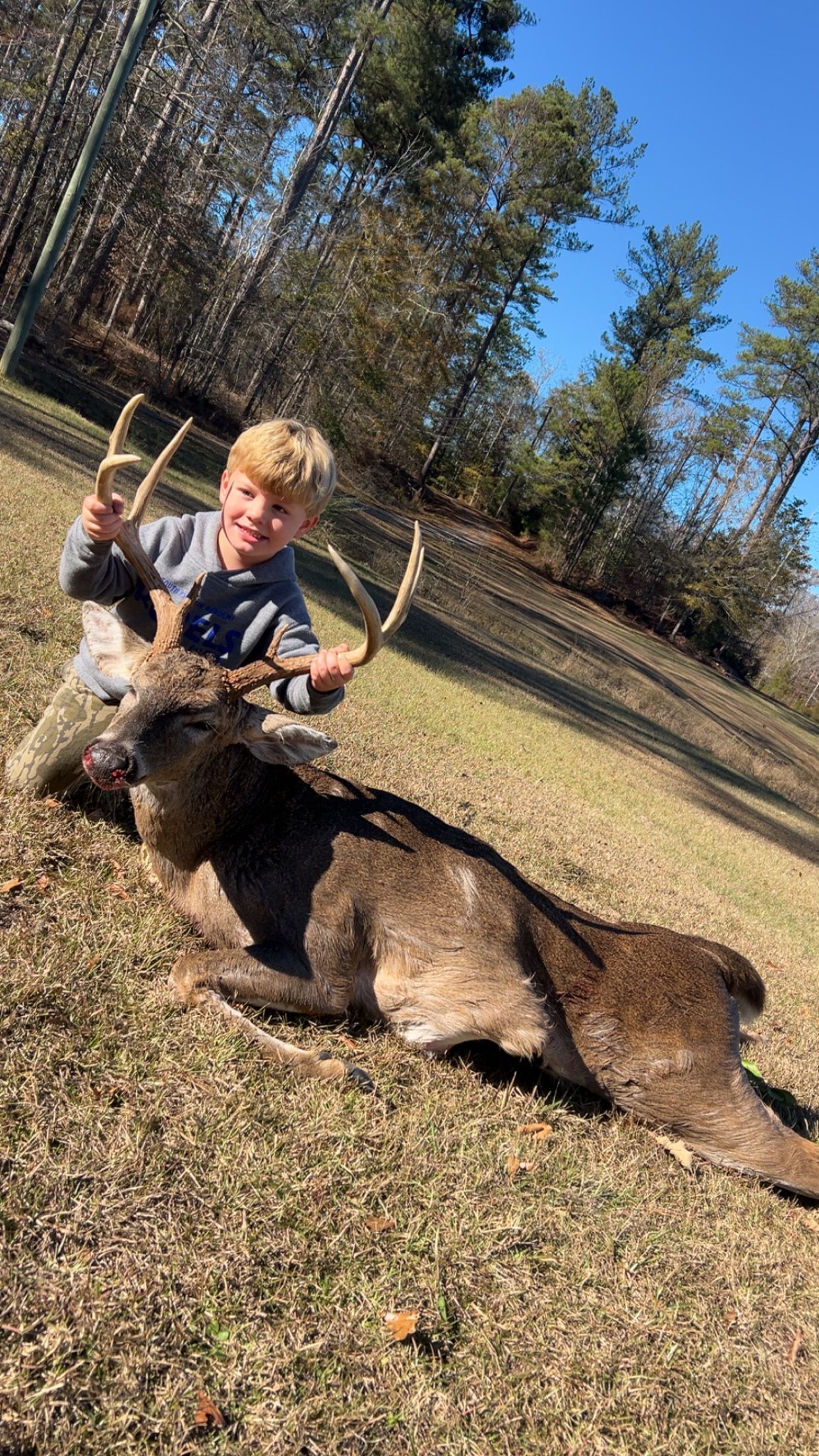 Boy kneeling next to a large deer, holding its antlers in a sunny outdoor setting.