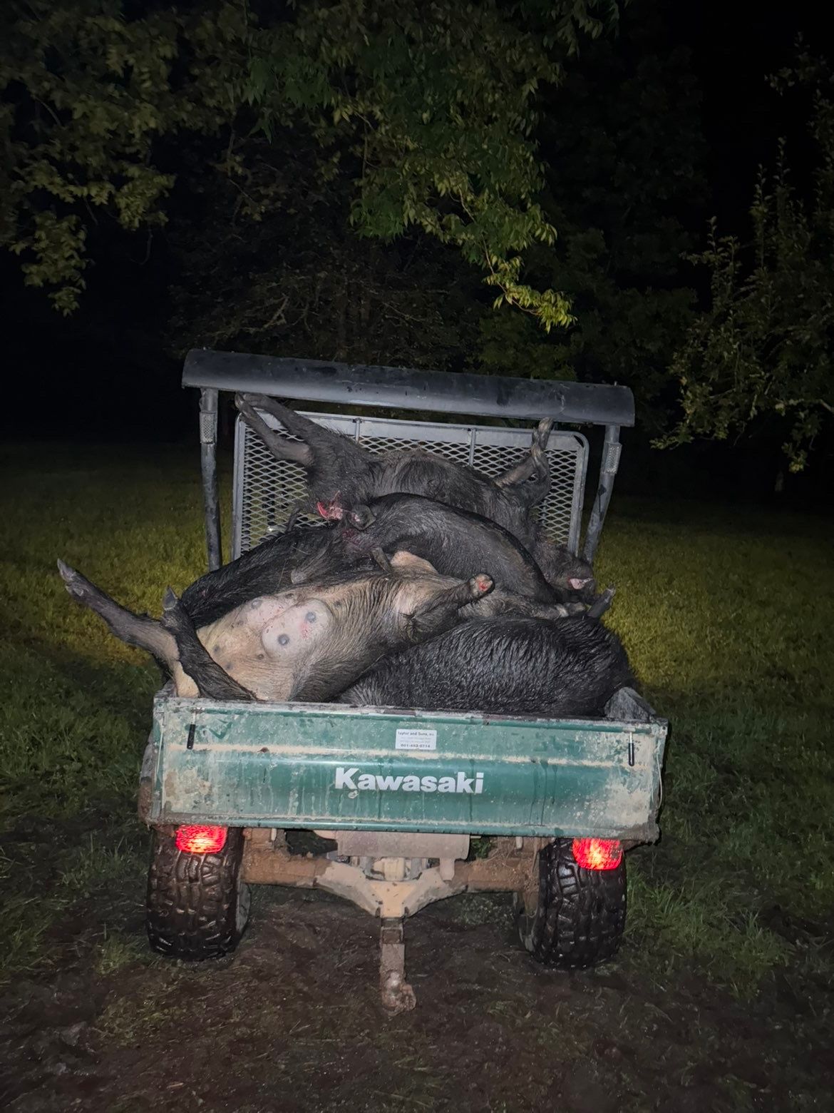 Kawasaki ATV bed filled with several dead wild pigs at night.
