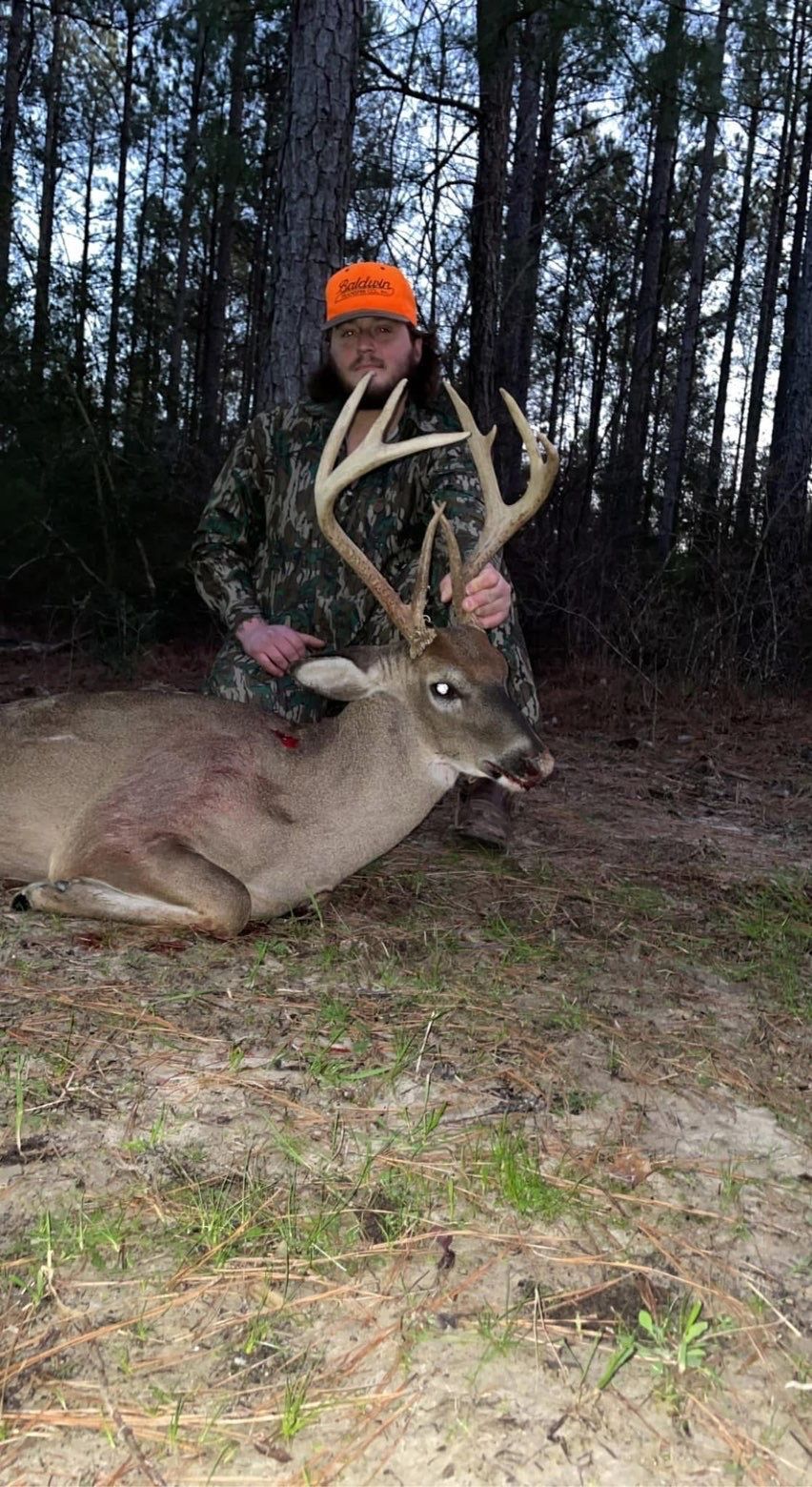 Hunter in camouflage and orange hat poses with a harvested buck in a forest clearing.