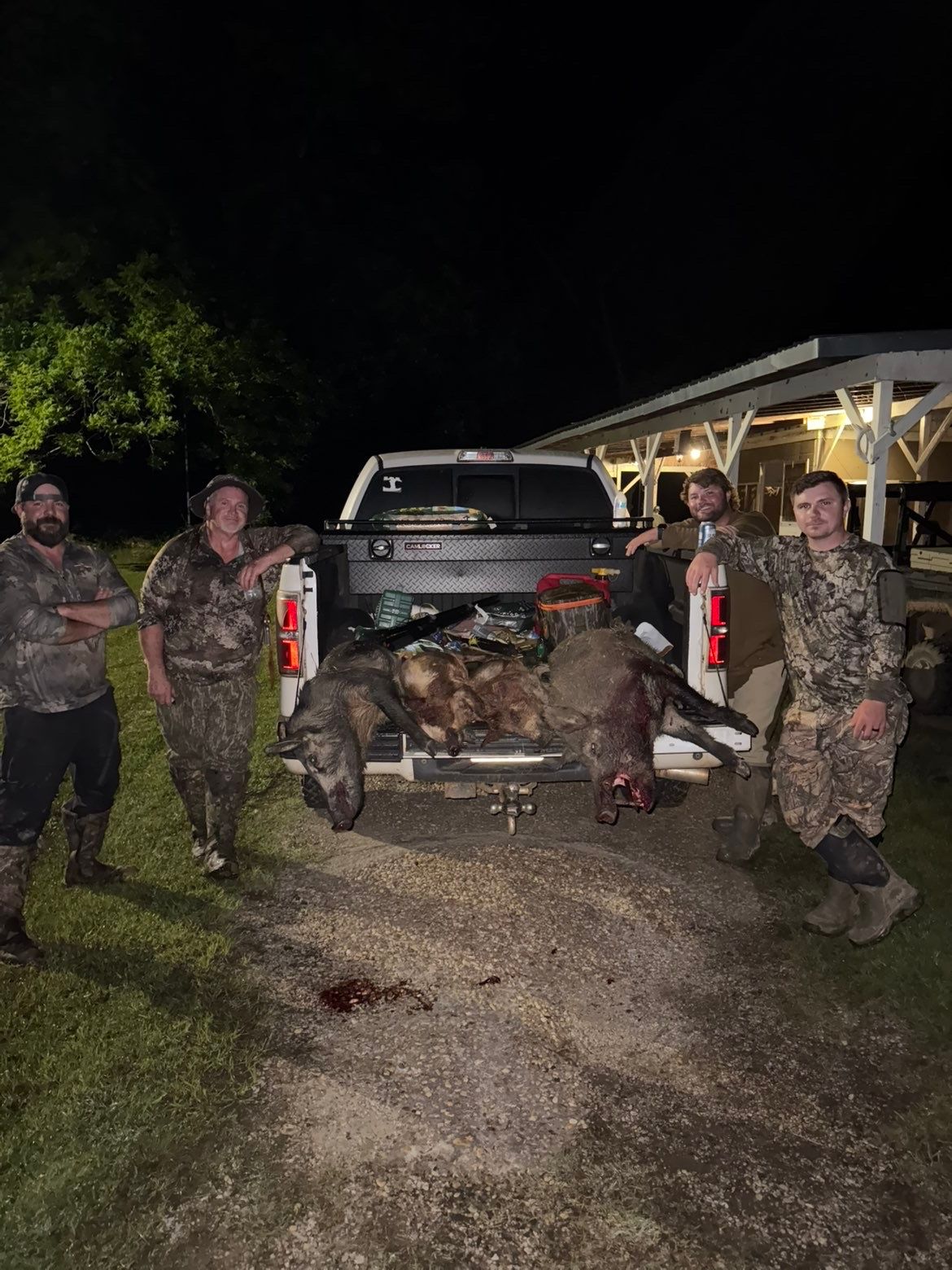Four people posing with harvested wild hogs in a truck bed at night.