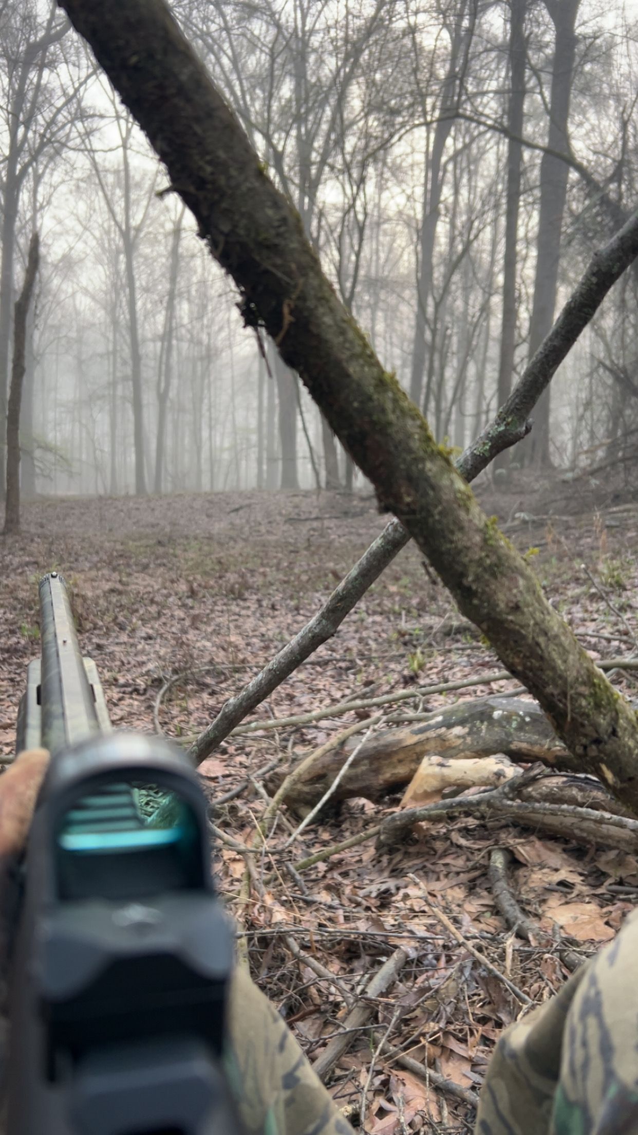 Person aiming a firearm in a foggy forest. A red dot sight is in focus. Brown leaves and trees surround.