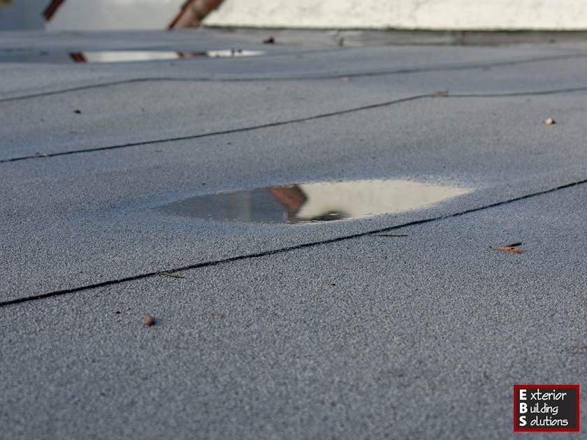 4 Consequences of Pooling Water on Flat Roofs