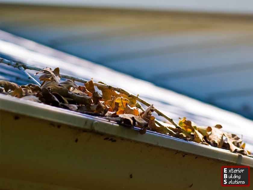5 Gutter Maintenance Mistakes You Should Avoid Doing
