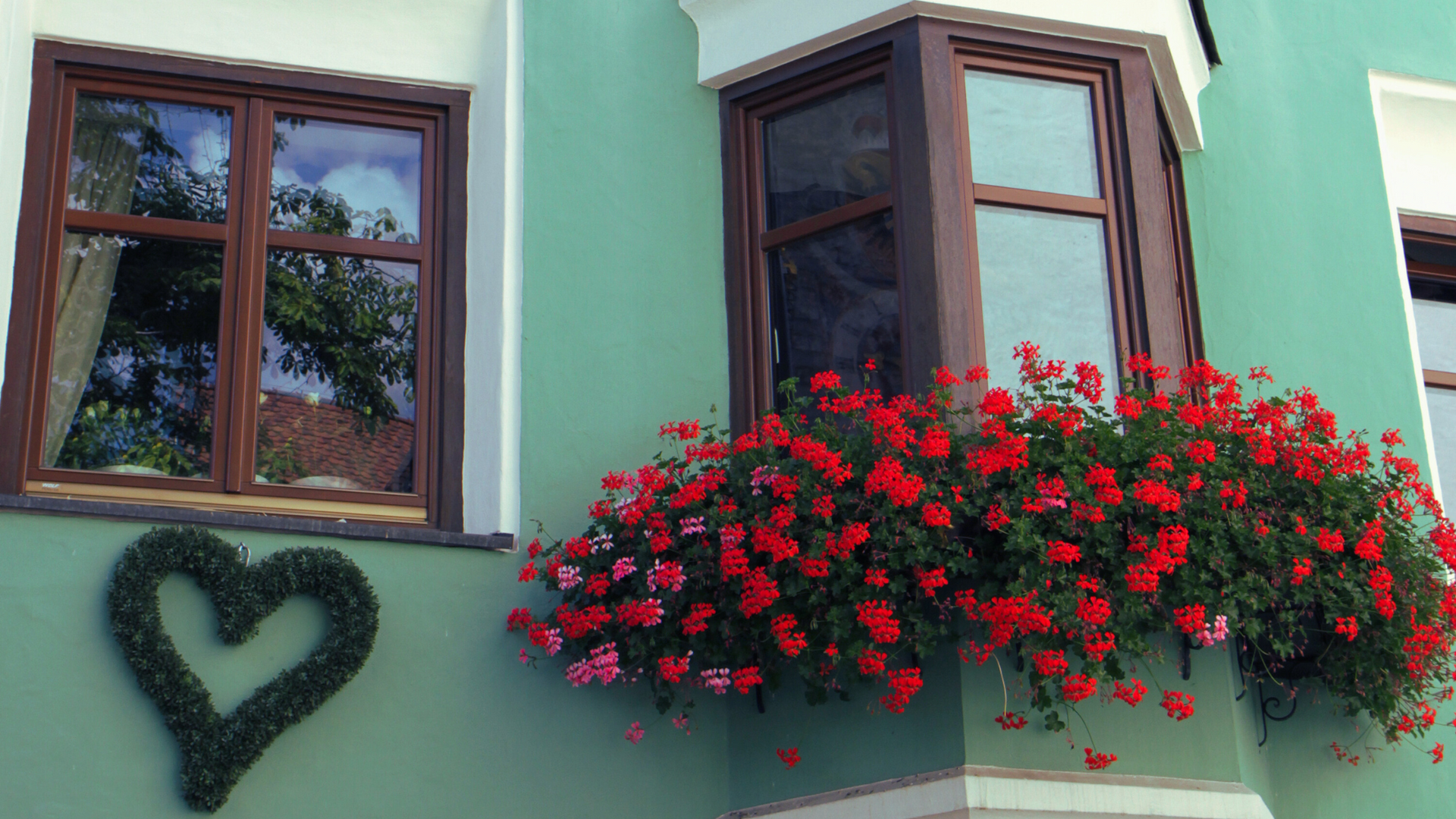 bay wood window red flowers in a window planter