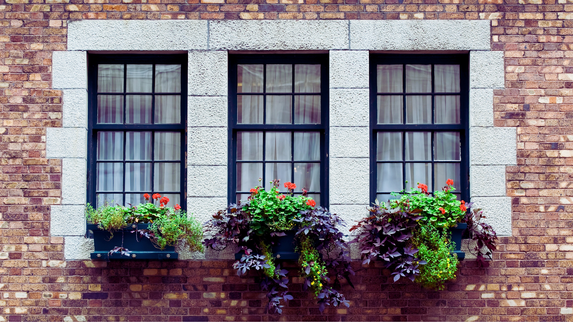 black frame windows on a brick house with flowers