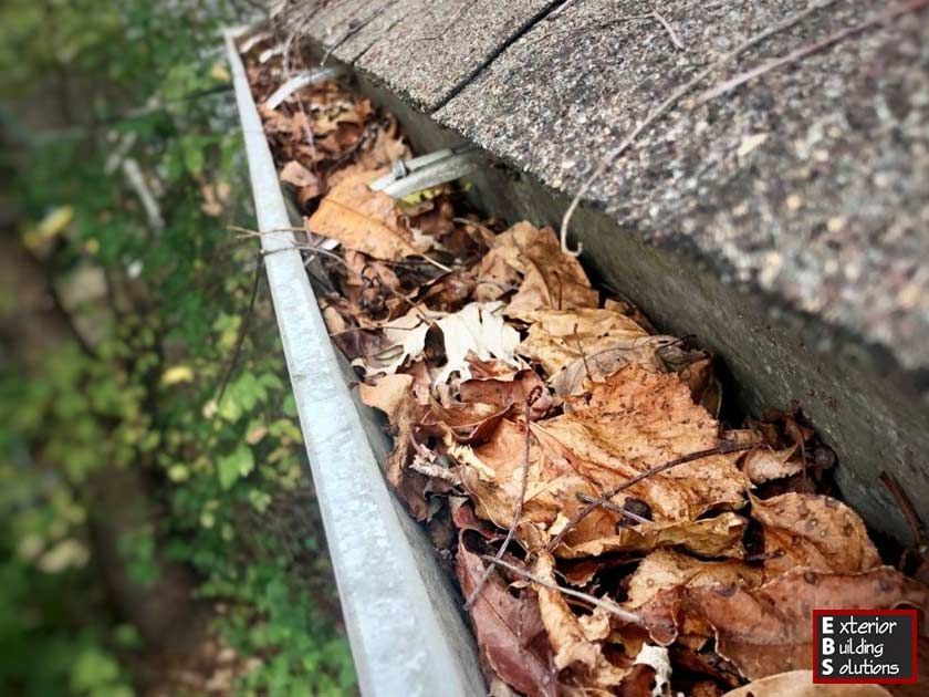 The Top 5 Culprits of Clogged Gutters